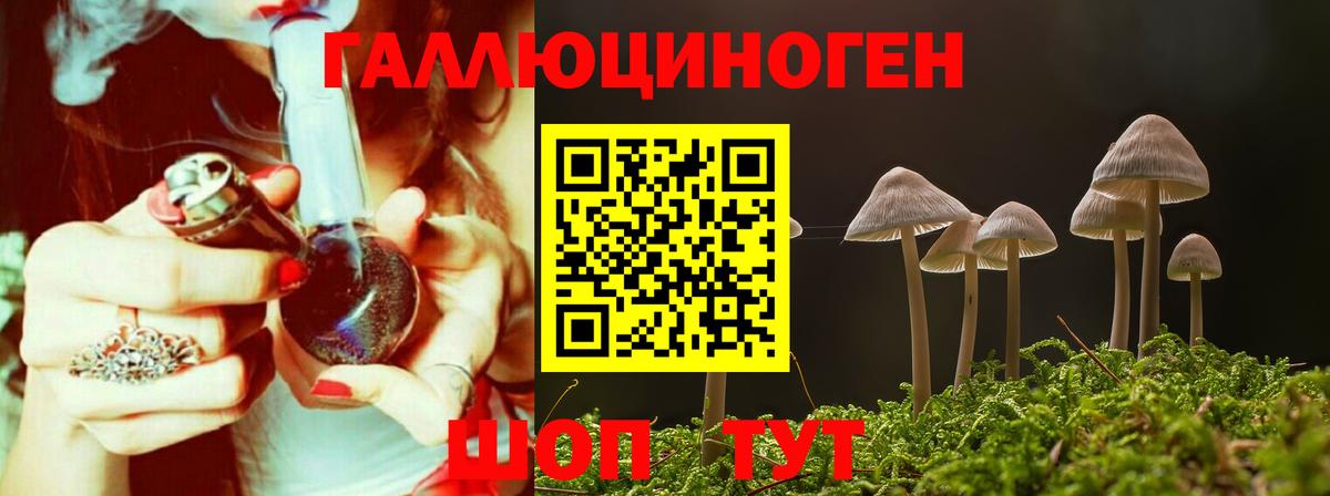 Псилоцибиновые грибы прущие грибы  Вход с VPN  Буйнакск  Псилоцибиновые грибы прущие грибы 